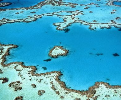 reis naar great barrier reef