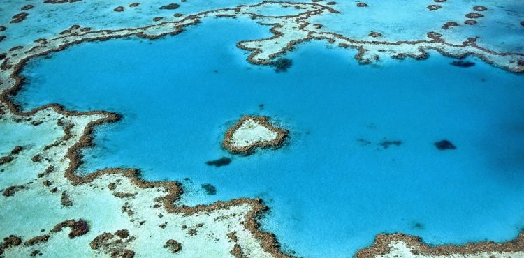 reis naar great barrier reef