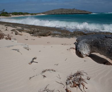 beleefvakantie strand madagascar