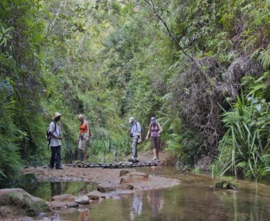 madagascar beleefvakantie