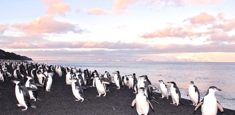 Vakantie naar Galapagos