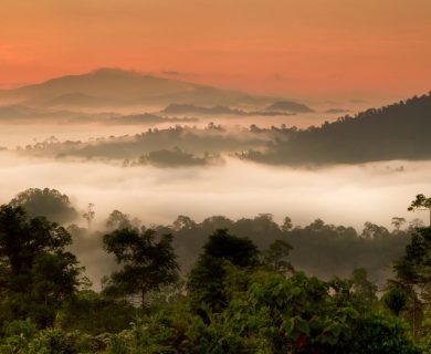 beleefvakantie borneo