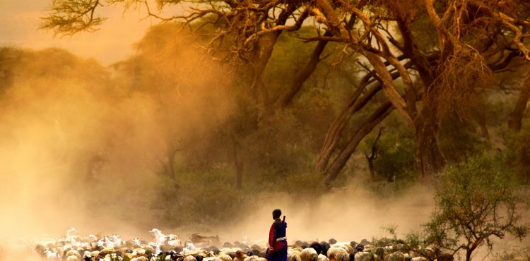 masai mara beleefvakantie