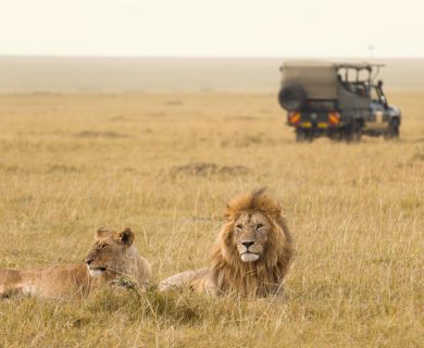 beleefvakantie in kenia