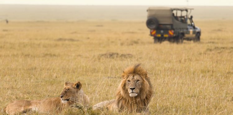 beleefvakantie in kenia