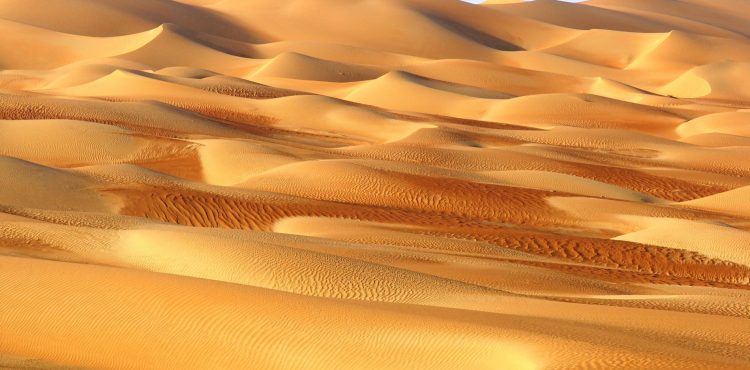 Vakantie in de woestijn