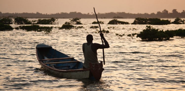 Reizen naar Afrika