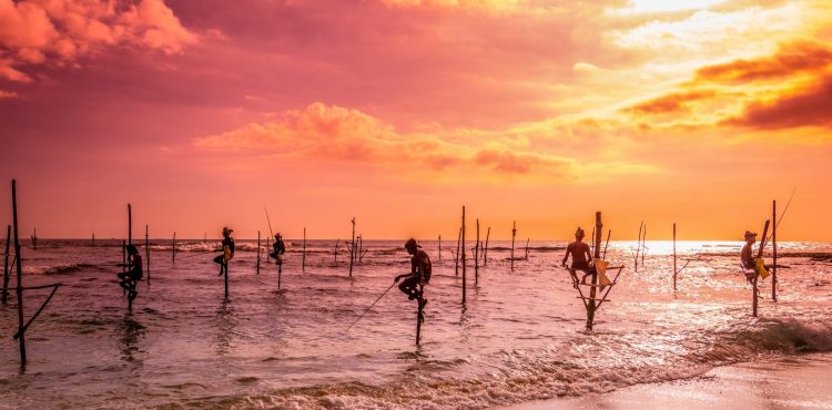 Reizen naar Sri Lanka