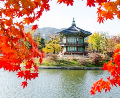 Reizen naar Zuid Korea