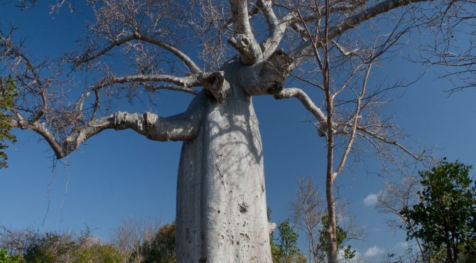 beleefvakantie madagascar