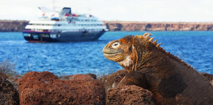 Cruisen naar de Galapagos eilanden