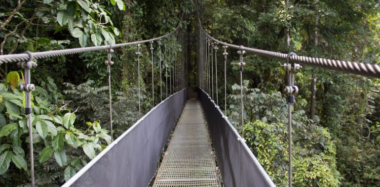 Reizen naar Dominica