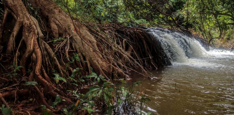 Natuur reizen Dominica