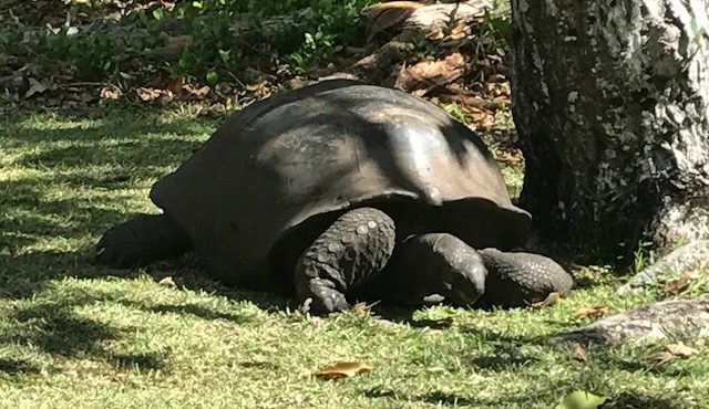 Vakantie naar de Seychellen