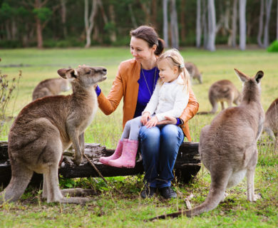 Reizen naar Australië