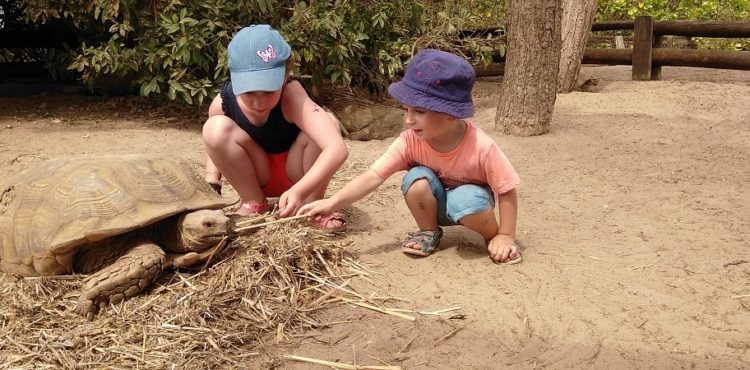 Reizen met kinderen