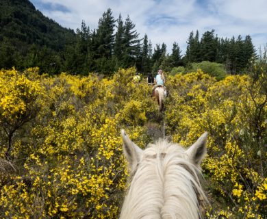 Vakantie op maat in de natuur