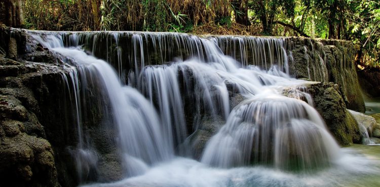 Natuurreis in Azië