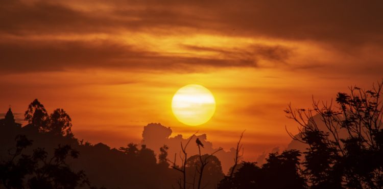 Zonsondergang in Afrika