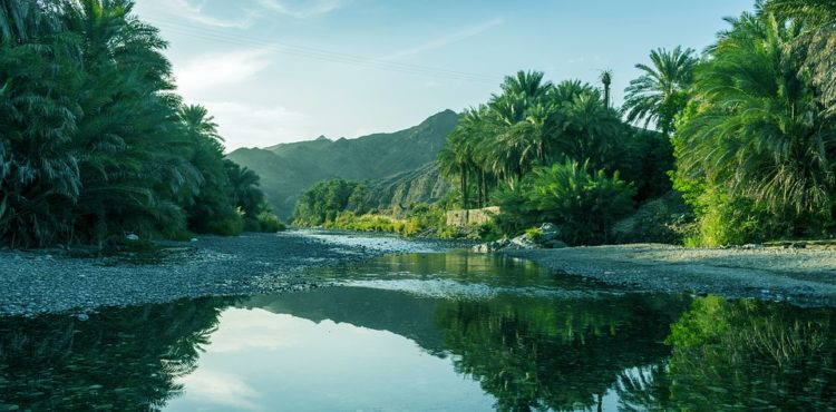 Vakantie in Oman