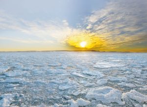 expeditie cruise noord